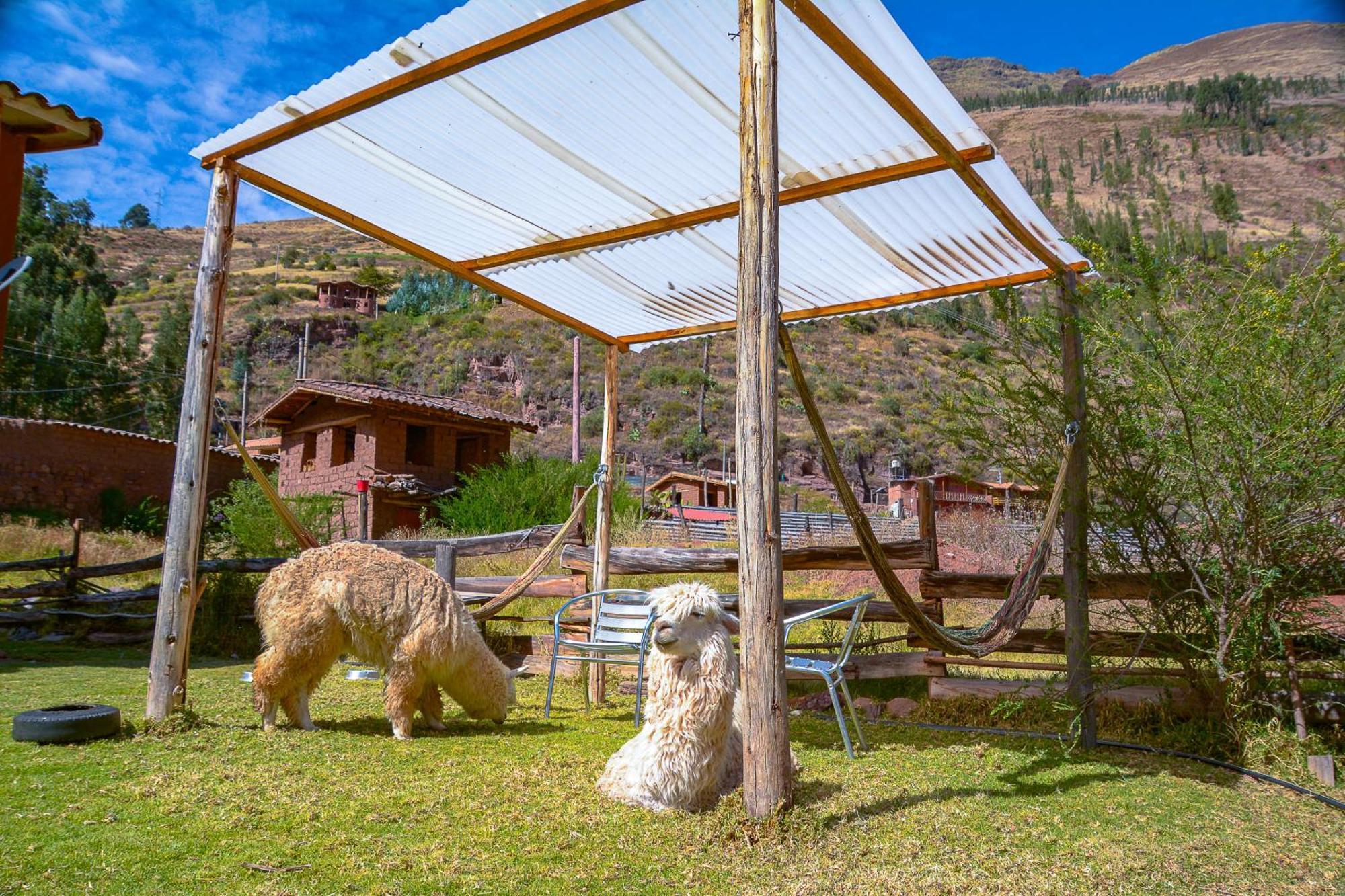 Manchitas Wasi Appartement Pisac Buitenkant foto